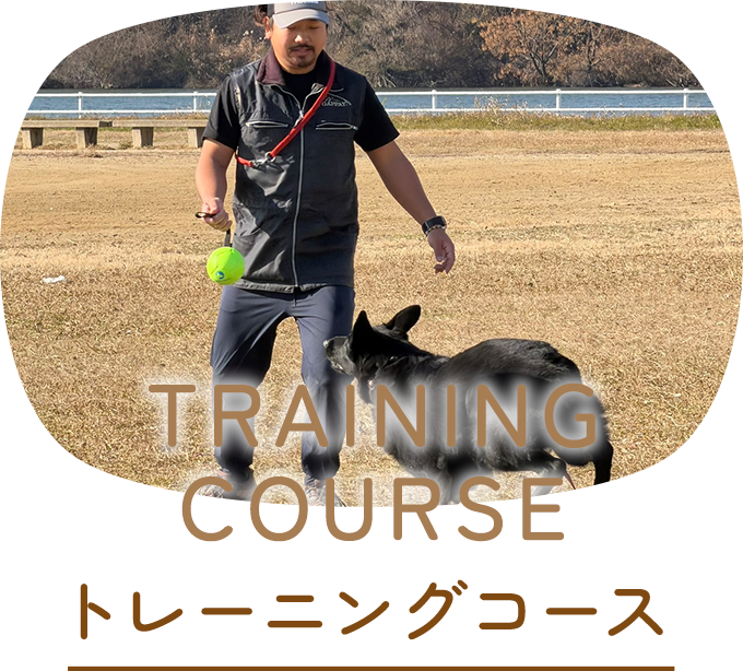 トレーニングコース