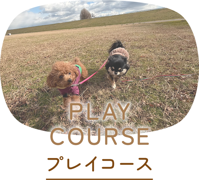 プレイコース