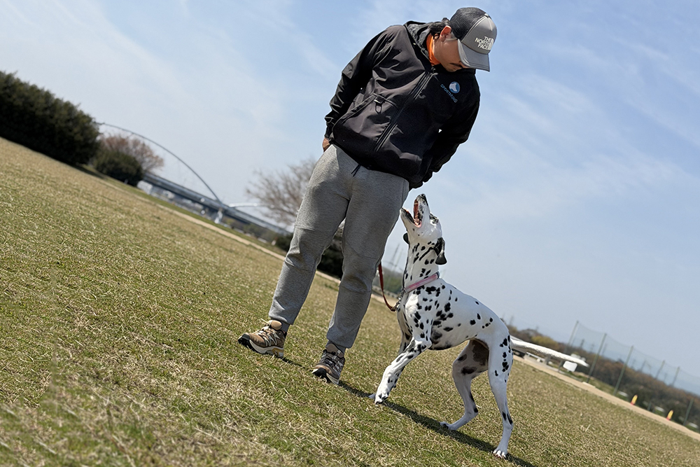 トレーニング内容